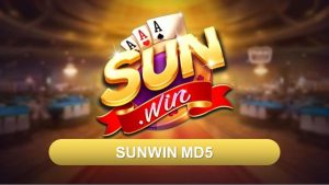 SunWin MD5